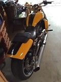 Harley-Davidson : VRSC Harley Davidson