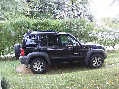 Jeep : Liberty Sport Sport Utility 4-Door 2003 jeep liberty sport