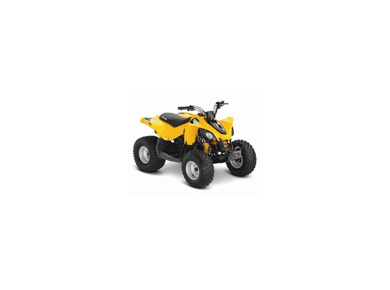 2014 Can-Am DS 70