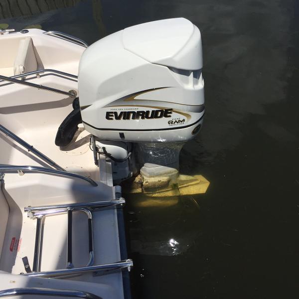 2001 EVINRUDE E150FPXSIG Engine and Engine Accessories