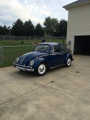 Volkswagen : Beetle - Classic Beetle 1965 vw beetle can be a show car driven daily
