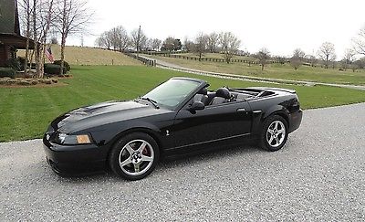 Ford : Mustang Cobra 2004 ford mustang svt cobra convertible 2 door 4.6 l