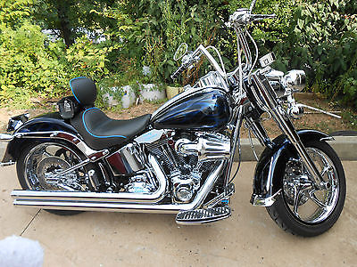 Harley-Davidson : Softail 2010 custom harley davidson fatboy
