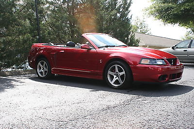 Ford : Mustang Cobra 2003 ford mustang cobra terminator redfire convertible