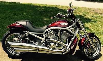 Harley-Davidson : VRSC 2003 harley davidson vrsc v rod fully customized a must see