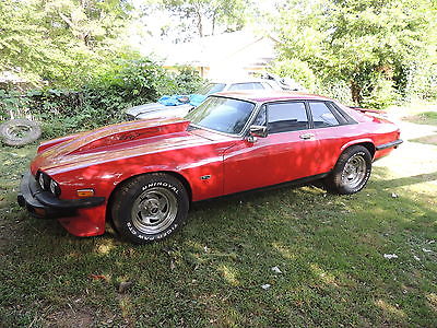 Jaguar : XJS Red and Black 1980 pro street 383 stoker with 500 hp all work by professionals and documented
