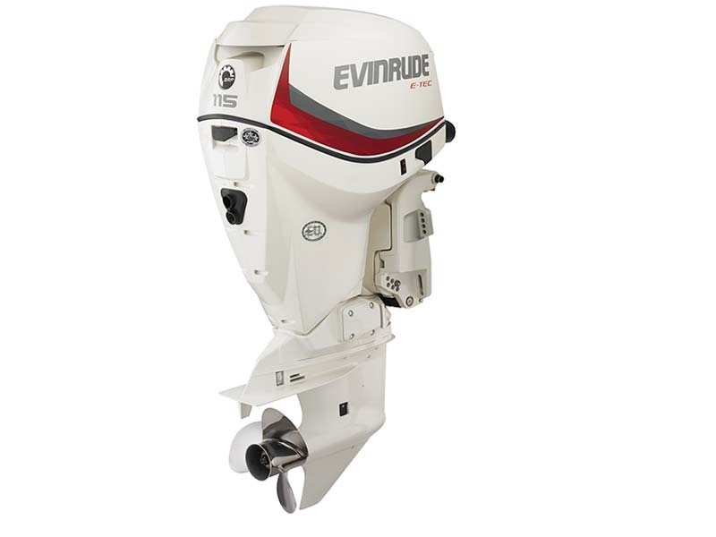 2014 EVINRUDE E115DSL Engine and Engine Accessories