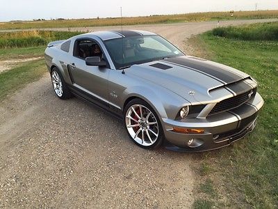 Shelby : Super Snake Silver & black Shelby Super Snake, autographed by Carrol Shelby, mint condition