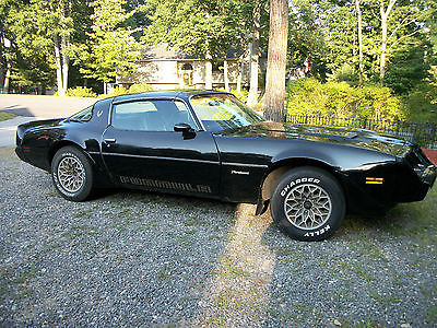 Pontiac : Firebird FORMULA 1981 pontiac firebird formula t tops trans am