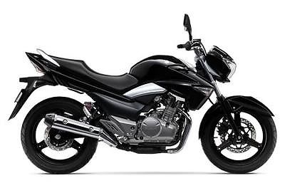 Suzuki : Other New 2013 Suzuki GW250 street bike motorcycle closeout