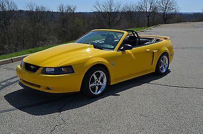 Ford : Mustang GT 2004 ford mustang gt convertible supercharged 40 th anniversary