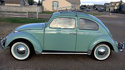 Volkswagen : Beetle - Classic Classic 1961 Volkswagon Beetle