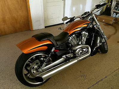 Harley-Davidson : VRSC 2014 harley davidson vrscf vrod muscle amber whiskey