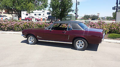 Ford : Mustang 68 mustang coupe 99 restored with new paint