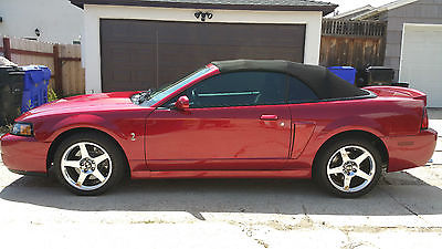 Ford : Mustang Cobra Exceptional 2004 Cobra Convertable with only 14,500 miles