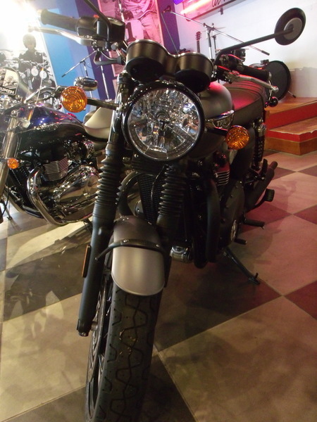 2008 Harley-Davidson XL1200N