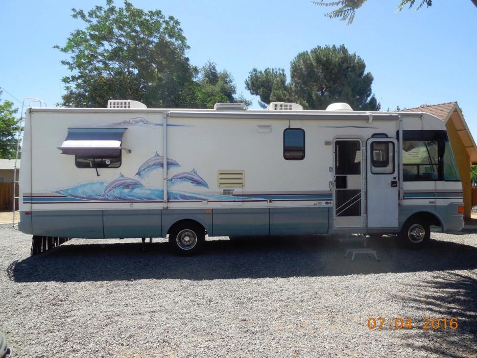 1998 National Dolphin