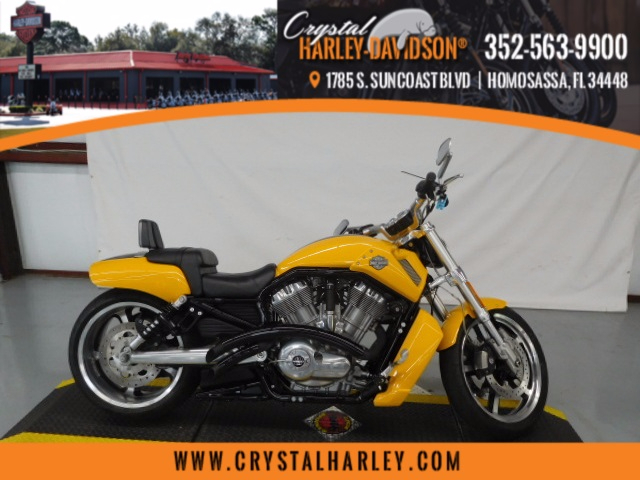 2003 Harley-Davidson XL 1200C