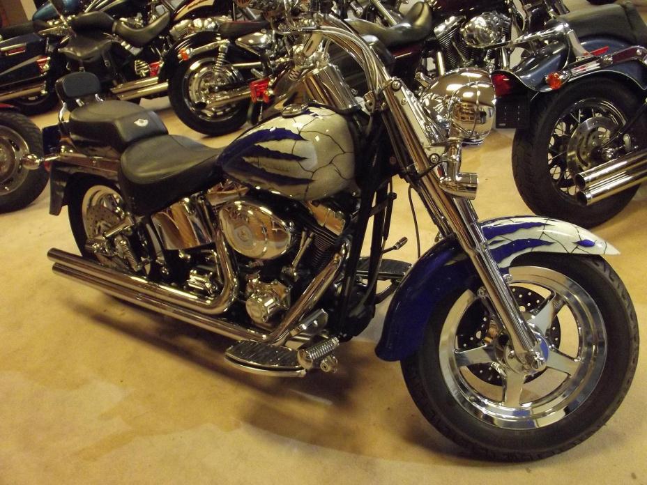 2003 Harley-Davidson FLSTFI