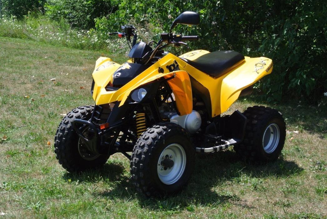 2006 Canam DS250