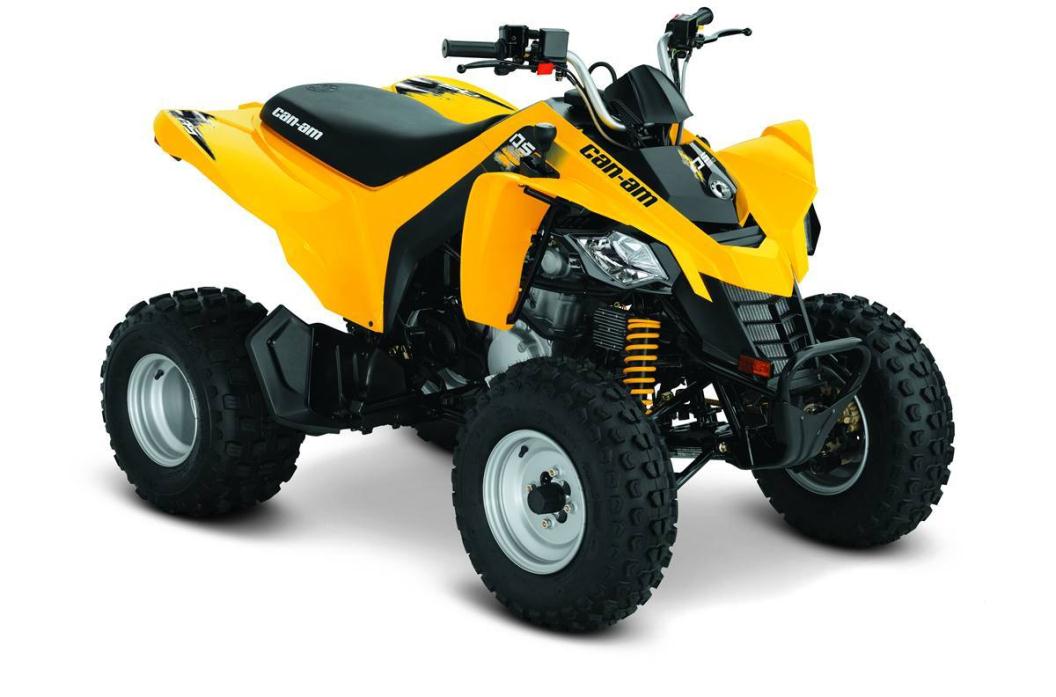 2017 Can-Am DS250