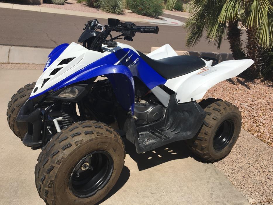 2013 Yamaha Raptor 90