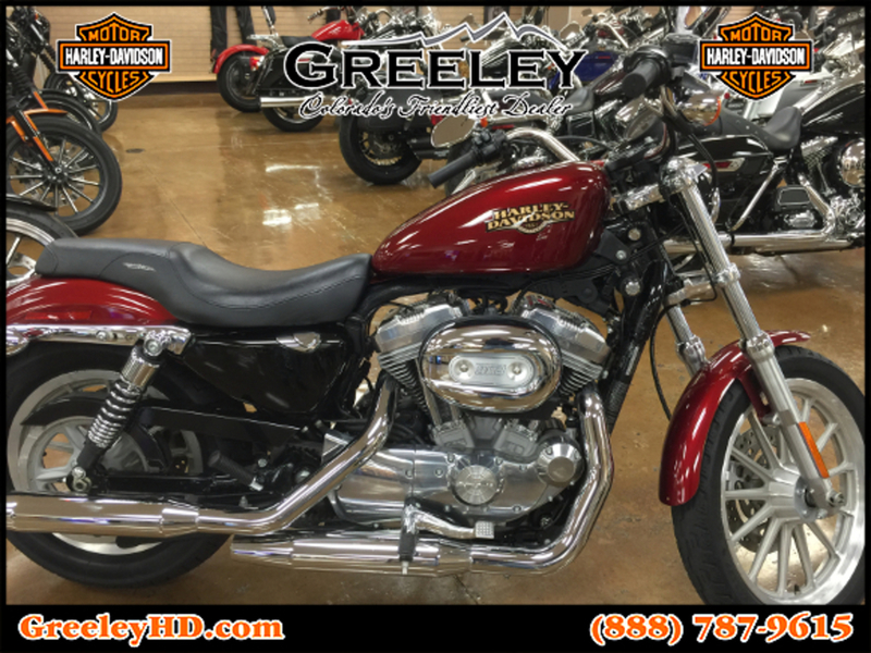 2013 Harley-Davidson XL1200C - Sportster 1200 Custom