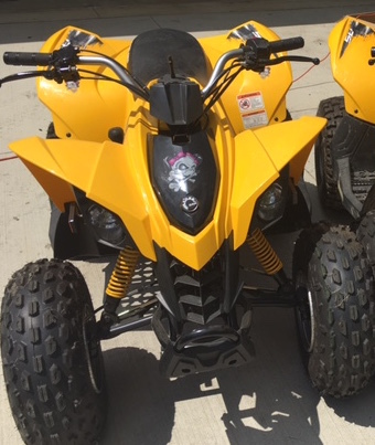 2014 Can-Am Ds 70