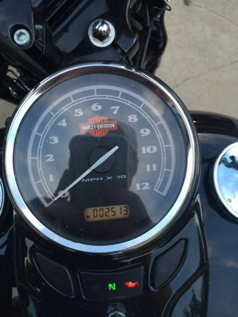 2010 Harley-Davidson Softail CROSS BONES