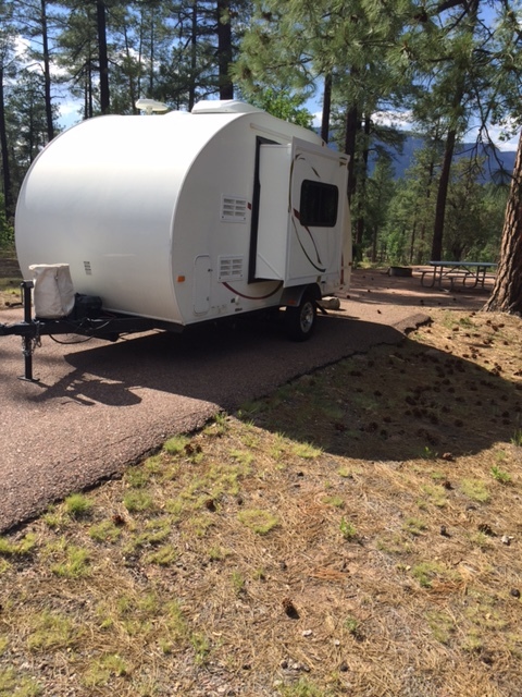 2010 Forest River R-POD 175