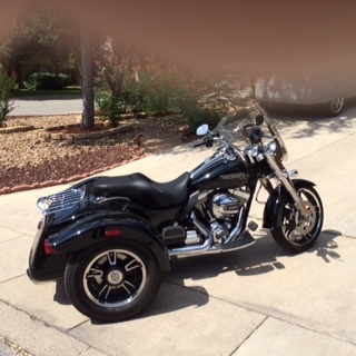 2002 Harley-Davidson XL883