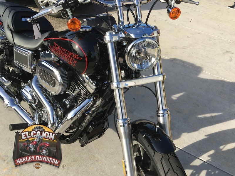 2010 Harley-Davidson FLSTSB - Cross Bones
