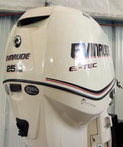 2006 EVINRUDE E-TEC 250hp 30