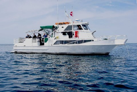 1990 BREAUX BROTHERS Dive/ Crew Boat