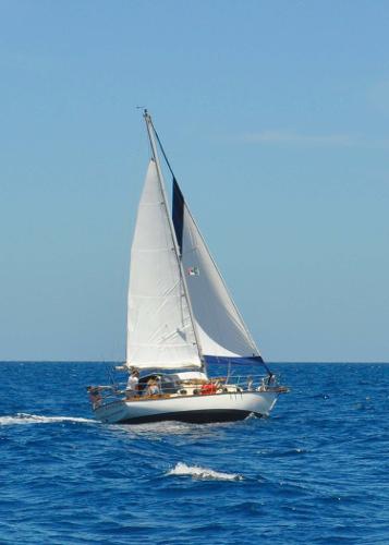 1980 Cape Dory 30 Cutter