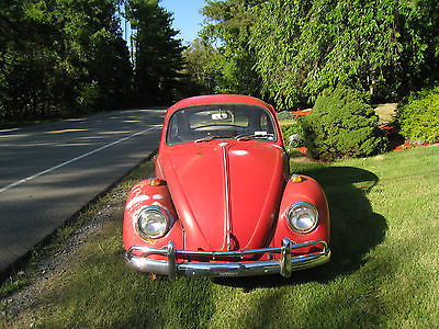Volkswagen : Beetle - Classic 67 vw bug just out of storage runs and drives