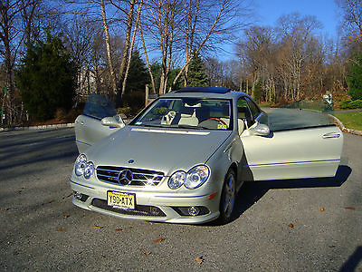Mercedes-Benz : CLK-Class AMG Designo Silver Limited Edition 2006 mercedes benz clk 500 amg designo silver limited edition