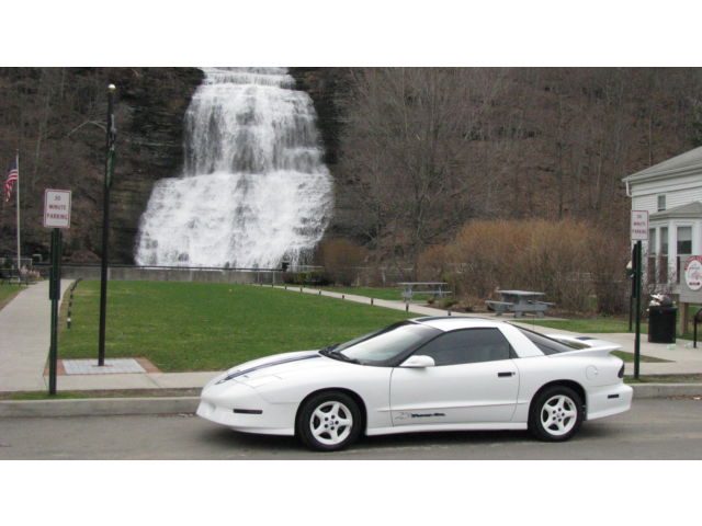 Pontiac : Firebird 2dr Formula 1994 pontiac firebird trans am 25 th anniversary auto triple white rare l k