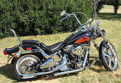 Harley-Davidson : Softail EXCEPTIONALLY WELL MAINTAINED.  Many new parts and up-grades.