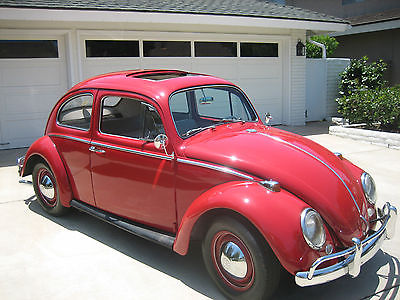 Volkswagen : Beetle - Classic two-door with factory sliding roof 1964 vw bug with sunroof really nice car