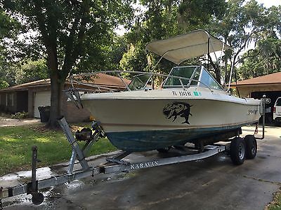 20ft Wellcraft Commercial Fishing Boat