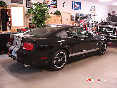 Shelby 2007 shelby mustang gt