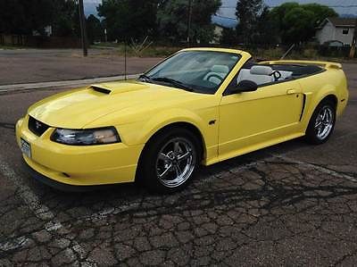 Ford : Mustang GT Deluxe 2dr Convertible 2002 ford mustang