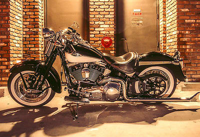 Harley-Davidson : Softail 2005 harley heritage springer