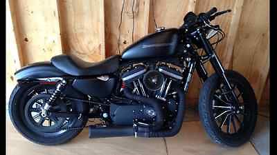 Harley-Davidson : Sportster 2010 harley sportster iron screamin eagle