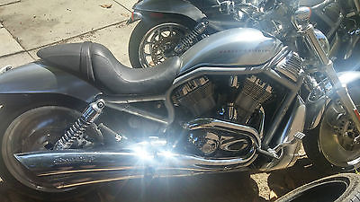 Harley-Davidson : VRSC 2002 vrod vrsc anodized ready for an easy fix low miles