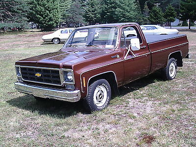 Chevrolet : C/K Pickup 1500 Scottsdale 1979 chevrolet chevy scottsdale pickup truck 29 000 miles original survivor c 10