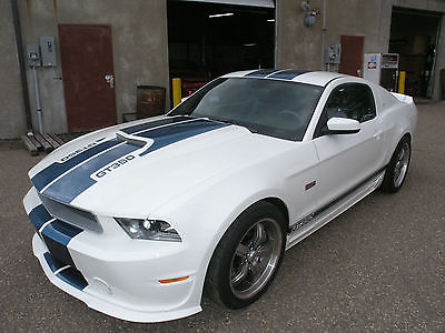 Shelby : Mustang GT-350 Rarely found 