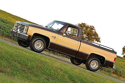 Chevrolet : C-10 SILVERADO 1 owner all original one of the nicest 5.0 l v 8 swb rust free garaged