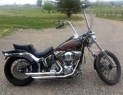 Other Makes : Thunder Mountain Customs 2007 thunder mountain cycles sterling 103 screamin eagle hd motor